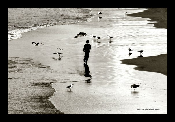 Boy Chasing Seagulls copy