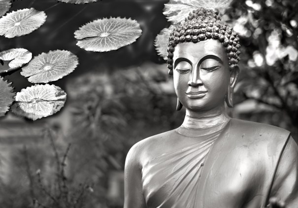 Walking Buddha Collage